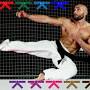 lowest belt in taekwondo from googleweblight.com
