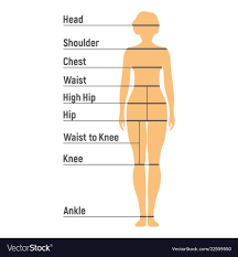 Woman Size Chart Human Front Side Silhouette