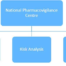 Organizational Chart Of The National Pharmacovigilance And