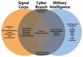 Towards A Career Path In Cyberspace Operations For Army
