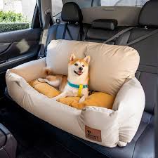 Dog Car