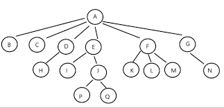 In a binary tree, all nodes have degree 0, 1, or 2. Basic Concepts Of Trees And Related Properties Of Binary Trees Programmer Sought