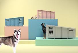 Cool Dog Houses With Modern Designs