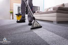 carpet cleaning martin bisch property