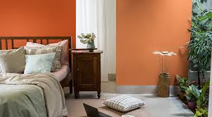 Inspiring Orange Two Colour Combination
