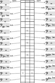 How To Find Notes On The Bass Guitar Neck Dummies