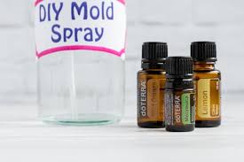 diy mold spray with essential oils