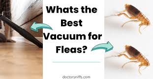 vacuum cleaner useful for fleas