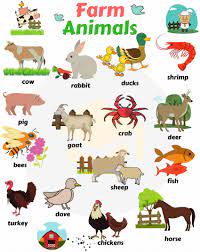 Học tên các con vật bằng tiếng Anh và các mẹo giúp bé dễ nhớ