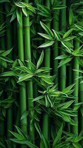 aesthetic bamboo pattern phone wallpaper