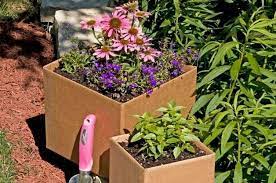 Recycle With Cardboard Gardening