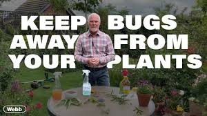 how to keep bugs away from plants
