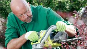 5 best cordless hedge trimmer reviews