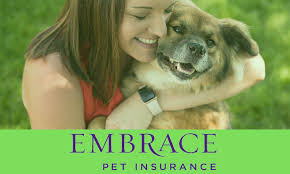 Worn out from high vet bills? Embrace Pet Insurance And Customer Care Service