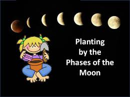 does planting by the moon work