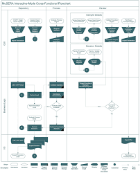 Cross Functional Flowchart For The Musera Interactive Mode