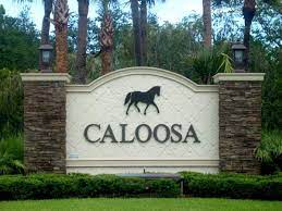 caloosa palm beach gardens homes