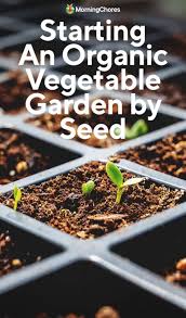 Organic Vegetable Garden By Seed