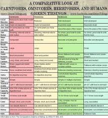 Great Informative Chart Carnivores Vs Omnivores Vs