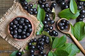 Berries of Aronia: Health Benefits and Use