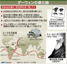図解】ダーウィンの進化論 写真1枚 国際ニュース：AFPBB News