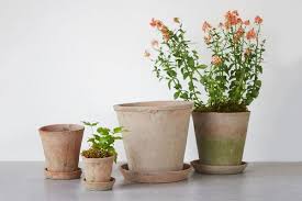 How To Grow An Indoor Herb Garden 2019