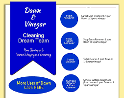 vinegar and dawn cleaning solution for
