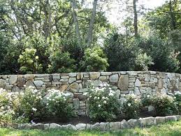 Stone Wall Planting Mahoney S Garden