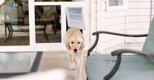 Sliding Glass Pet Door Utah Best Pet