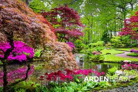What Is A Japanese Garden Key Features