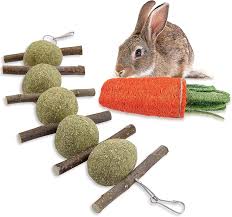 rabbit chew toys improve dental health