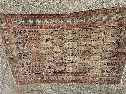 a beautiful vine middle eastern rug