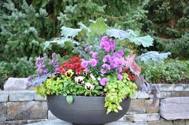 6 Ways To Wow With Container Gardens