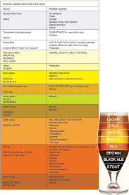 51 All Inclusive Abnormal Urine Color Chart