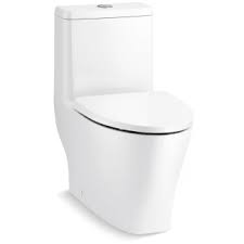 dual flush one piece elongated toilet