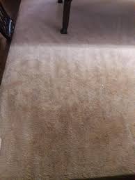 top 10 reviews of sears carpet cleaning