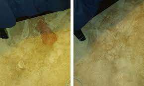 carpet cleaning chesapeake va