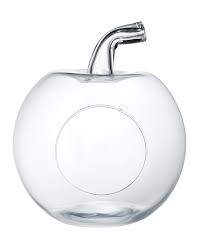 Apple Shaped Glass Fruit Bowl Isolated