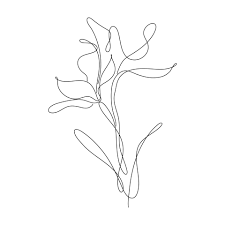 abstract flower lily one line art