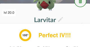 My Cousin Just Hatched A 100iv Larvitar And She Hardly Plays