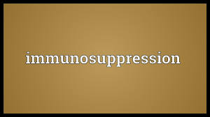 Maybe you would like to learn more about one of these? Immunosuppression Meaning Youtube