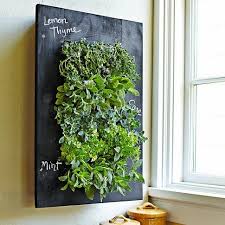 Kitchen Herb Planter Indoor Herb