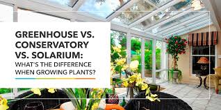 What is the difference between a solarium and a conservatory?