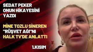 Sedat Peker onun hikayesini yazdı...Mine Tozlu Sineren "Rüşvet Ağı"nı Halk  TV'de anlattı - YouTube