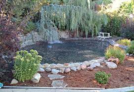 Pond Safety Net Protect A Pond By