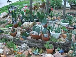 Cactus Garden Design Succulent Rock Garden
