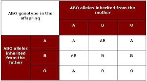the abo blood group blood groups and