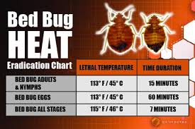 Bed Bug Control Safezone Pest Control Llc
