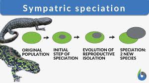 sympatric speciation definition and