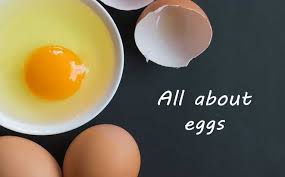 egg facts nutritional value